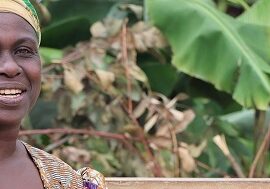 Immaculee header